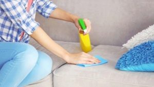 Choosing a remedy for cleaning sofas at home