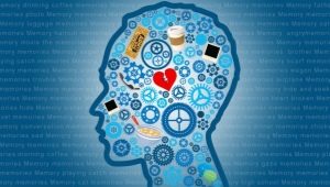 זיכרון מוטורי: מאפיינים ותכונות של התפתחות