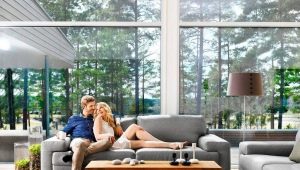 Ghế sofa Phần Lan: tính năng, giống, thương hiệu phổ biến