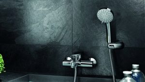 Labākie vannas istabas jaucējkrāni: ražotāju reitinga sastādīšana