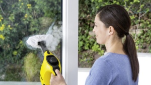 Steam cleaners for windows: what are they, how to choose and use?