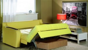 Wählen Sie ein Sofa mit Akkordeon-Mechanismus