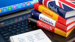 Prevoditeljska profesija: opis, prednosti i nedostaci, potrebne vještine