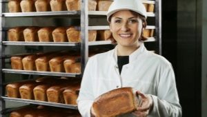 Semua tentang profesi ahli teknologi roti