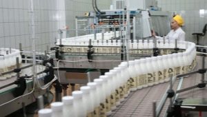 All about the profession of a dairy technologist