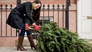 When and how to clean the tree after the New Year?