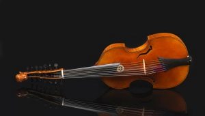 Všetko o hudobnom nástroji viola