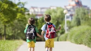 Apakah beg galas untuk kanak-kanak lelaki dan bagaimana untuk memilihnya?