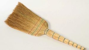 Choosing a broom for cleaning