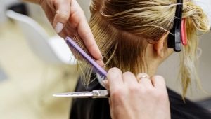 Pendandan rambut: penerangan dan latihan untuk profesion