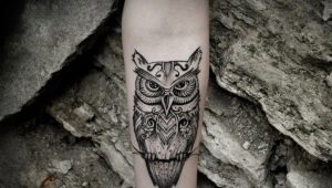 What are owl tattoos and where to place them?