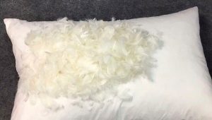 Features of down and feather pillows