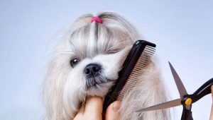 What is grooming and how is it done?