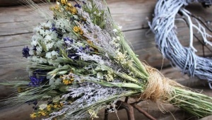 What are dried flowers for floristry and how to collect a bouquet from them?