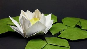 Bagaimana cara membuat origami dalam bentuk teratai air?