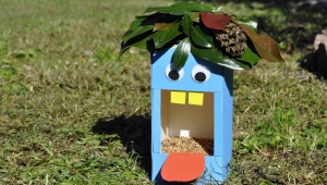 How to decorate a bird feeder?
