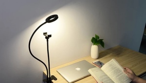 Kā izvēlēties galda gredzenu lampu?