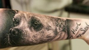 Que sont les tatouages ​​​​de chien et où les obtenir?
