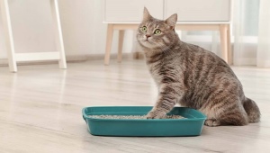 Caja de arena para gatos CAT STEP