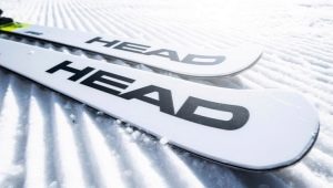 Alpine Ski Head Review