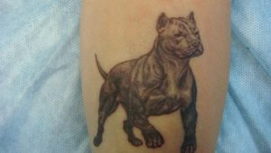 Descripción general y significado del tatuaje de pit bull