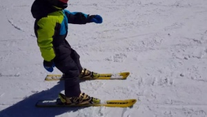 Resumen de esquís cortos y su selección.