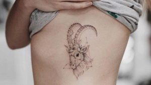 Pregled kozorogovih tetovaž in njihove postavitve