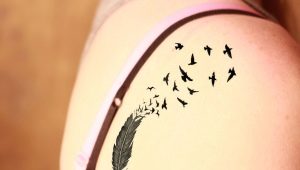 Crítica de tatuagem de pena de pássaro