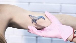 Преглед тетоважа китова