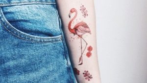 Overview of bird tattoos and places of their application
