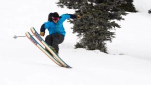 Features of combination skis