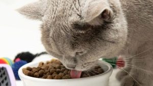 SUMMIT kaķu barības īpašības