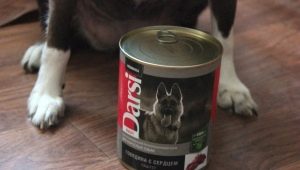 Характеристики на храна за кучета Darsi