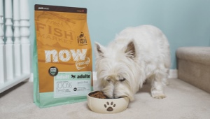 Features of NOW FRESH Small Breed Dog Food