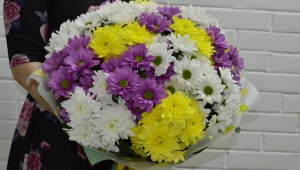 Making bouquets of chrysanthemums with your own hands