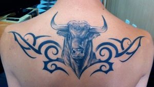 Bull tattoo: kahulugan at sketch