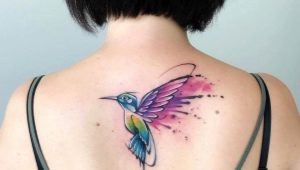 Kolibrio tatuiruotės mergaitėms