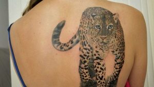 Možnosti tetovaže jaguarja
