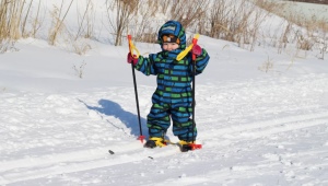 كل شيء عن أعمدة التزلج للأطفال