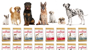All about ROYAL CANIN dry dog ​​food
