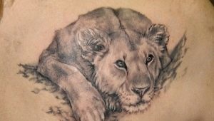 All about lioness tattoo