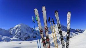 Vælger alpint skiløb