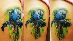 Betydningen af ​​en iris tatovering og muligheder for dens skitser