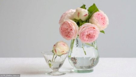 Kaj lahko storim, da bodo vrtnice dolgo časa v vazi? 