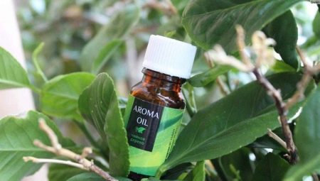 Tea tree olej na akné: vlastnosti, odporúčania pre výber a použitie