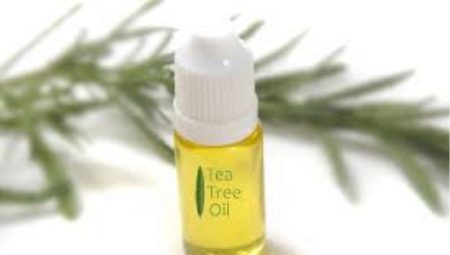 Olio dell'albero del tè: benefici e danni, sottigliezze di scelta e applicazione