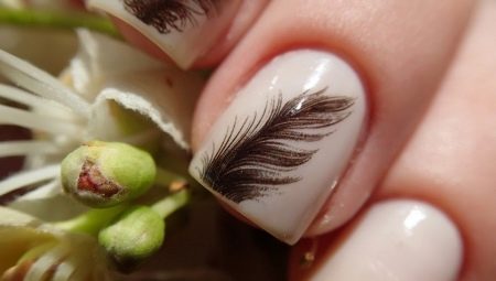 Manicure with a feather: stylish design options and a description of the technique for decorating nails