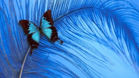 Il colore blu in psicologia: cosa significa e cosa simboleggia?