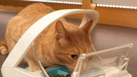 Alimentadors automàtics per a gats: tipus, regles de selecció i fabricació