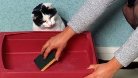 Apakah cara terbaik untuk mencuci kotak sampah kucing supaya tiada bau?